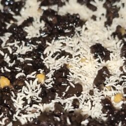 Folsomia candida springtails white clean up crew culture