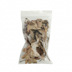 Oak Leaf Litter for Springtails and Isopods